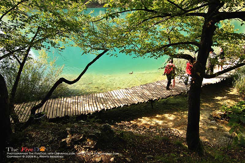 พาเที่ยวอุทยานฯ พลิทไวซ์ (Plitvice) ประเทศโครเอเชีย.. 1ในป่าที่สมบูรณ์และสวยงามที่สุดในยุโรป : บรรยากาศดีสุๆ โดยเฉพาะในช่วงฤดูใบไม้ผลิ