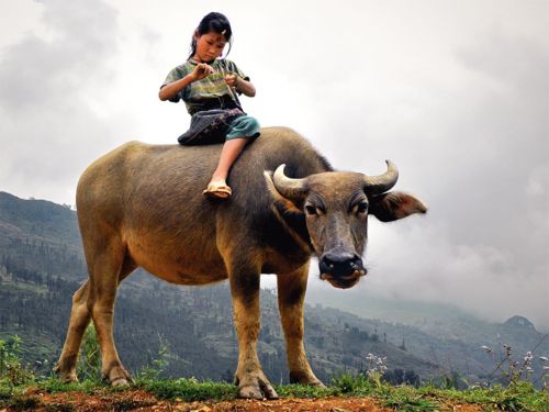 คนรัก national geographic : 