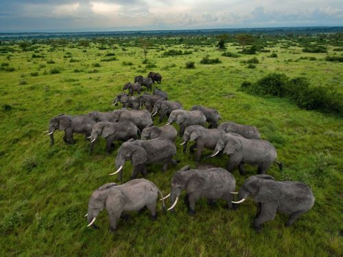คนรัก national geographic : 