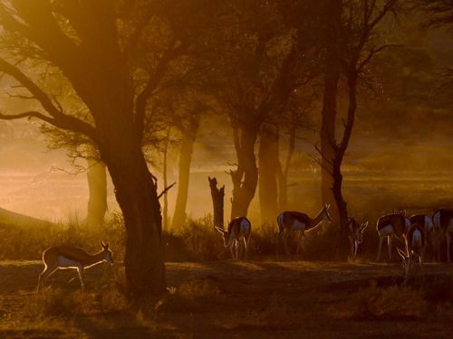 คนรัก national geographic : 
