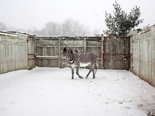 คนรัก national geographic : 