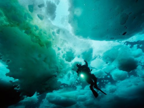 คนรัก national geographic : 