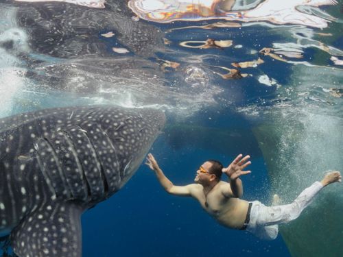 คนรัก national geographic : 