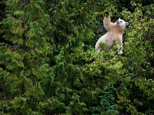 คนรัก national geographic : 
