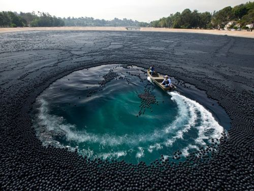 คนรัก national geographic : 