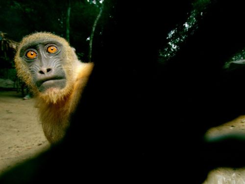 คนรัก national geographic : 