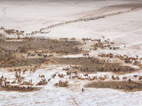 คนรัก national geographic : 