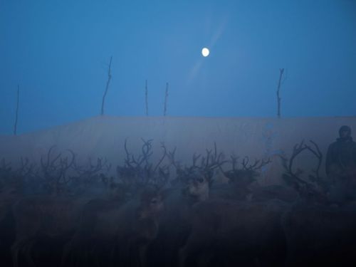 คนรัก national geographic : 