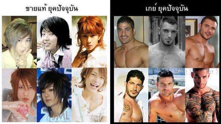 รวมความฮา แสนน่ารัก : 