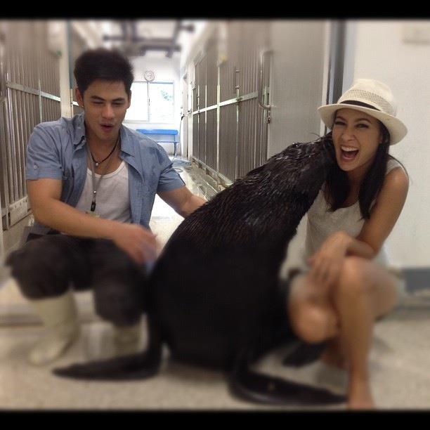 ซี ศิวัฒน์ :