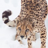 A beautiful World 14