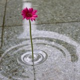 Ripple Flower Vase by Taku Omura