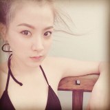 ใบเฟิร์น - พิมพ์ชนก