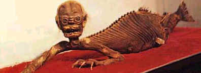 รวมภาพประหลาด ที่คุณอาจไม่เคยเห็นมาก่อน : 